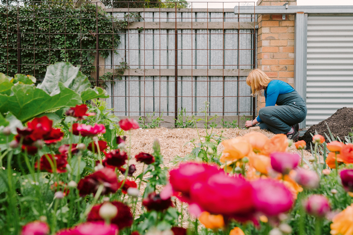 Thames & Hudson USA - Book - Super Bloom: A Field Guide to Flowers