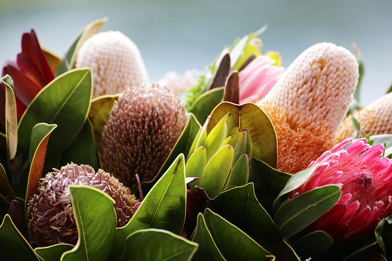 Point Nepean Portsea Craft Market