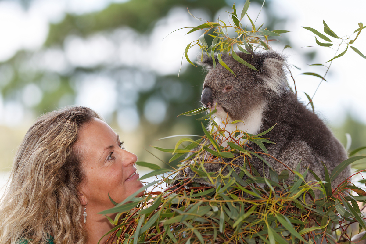 KOALA whisperer - peninsula essence