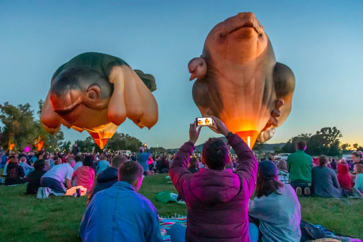 Patricia Piccinini's Skywhales